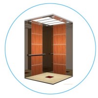 Cheap Price 320kg 4 Persons Small Home Elevator Lift